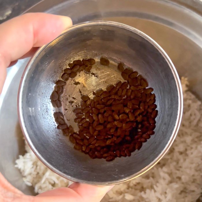Black Koji Starter Japan 10g | Tane Koji (Aspergillus luchuensis) untuk Miso, Shiokoji, Amazake – Ikushima Store — foto 5