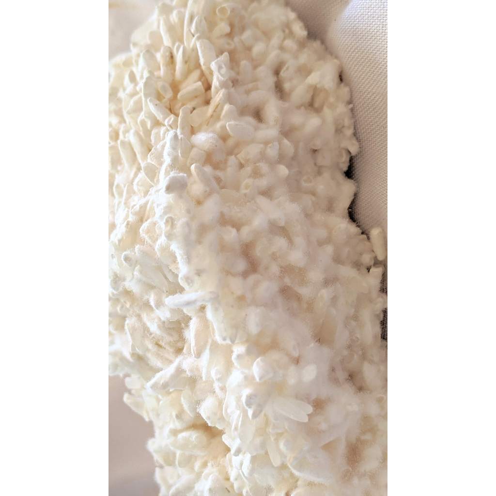 Organic Beras Koji (kome koji) 500 gram