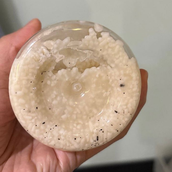 Organic Shiokoji / ikushima store / Perasa Alami untuk Masakan Sehat / Rahasia Rasa Umami / Pembuat Makanan Lebih Nikmat / Kualitas Jepang, Bahan Baku Bali — foto 9