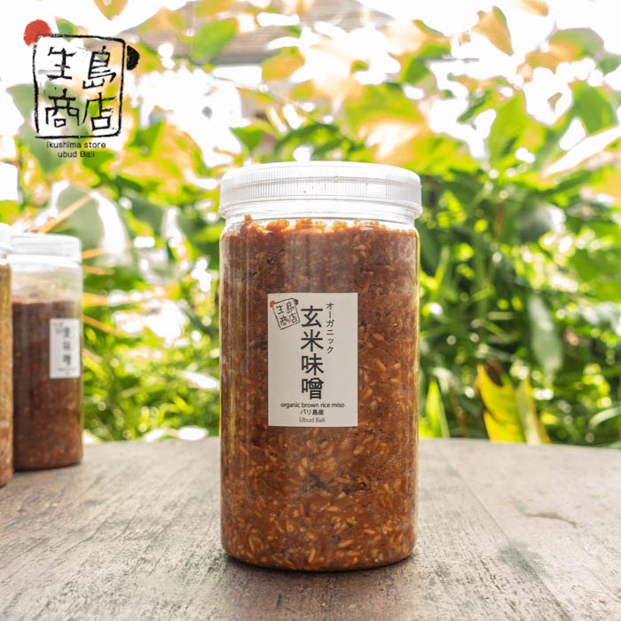 Organic Brown Rice Miso – Halal Japanese Paste | Ikushima Store — 1 kg