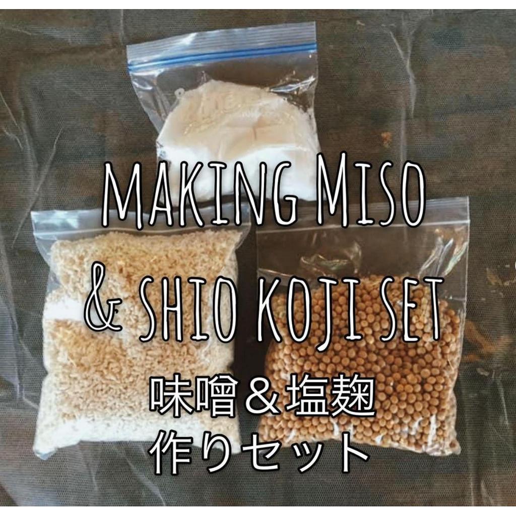 Miso & Shio Koji Homemade Kit | Bisa buat 2kg Miso + 300g Shio-koji | Ikushima Store